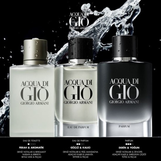 Giorgio Armani Acqua Di Gio Le Parfum 100 ml Erkek Parfüm