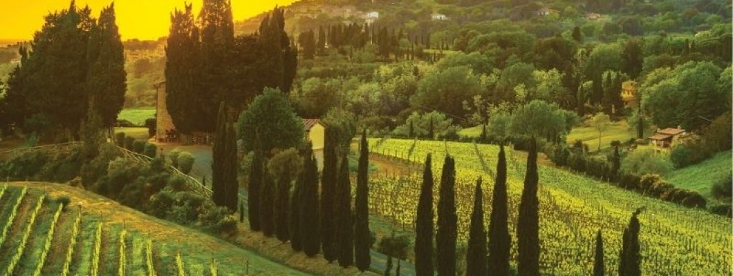 Toskana’nın Bahçelerinden Gelen Zarafet: Giardini di Toscana