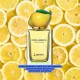 Dolce Gabbana Fruit Collection Lemon Edt 150 ml Kadın Parfüm