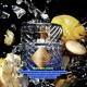 By Kilian Blue Moon Ginger Dash Edp 50 ml Unisex Parfüm