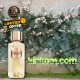 Lancome Absolue 1001 Roses Edp 100 ml Kadın Parfüm