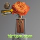 Paco Rabanne Rose 1969 Edp 125 ml Unisex Parfüm